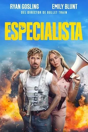 Poster El especialista Online