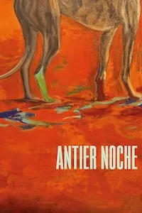 Image Antier noche