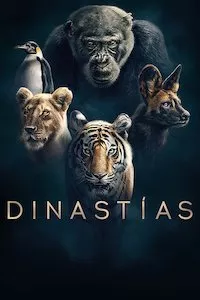 Image Dinastías