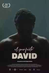 Image El perfecto David