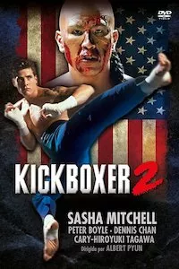 Image Kickboxer 2