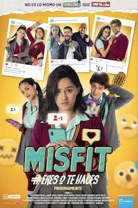 Image Misfit