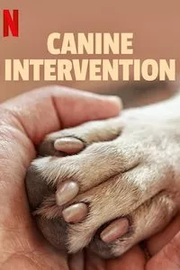 Image Canine Intervention