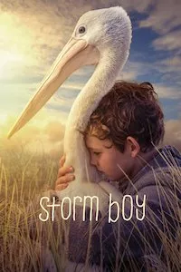 Image Storm Boy