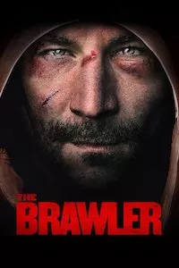 Image Brawler