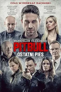 Image Pitbull. Ostatni pies