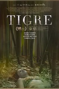 Image Tigre