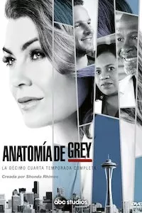Image Anatomia de Grey