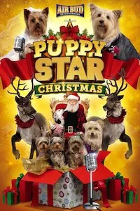 Image Puppy Star Christmas