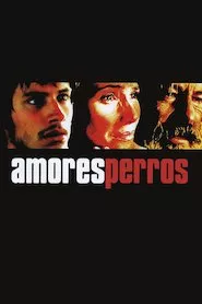 Image Amores perros