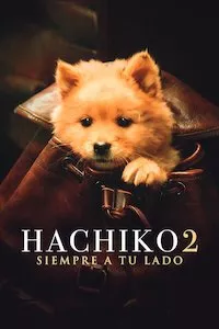 Image Hachiko