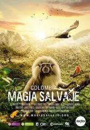 Image Colombia magia salvaje