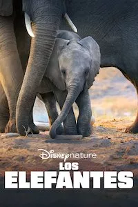 Image Elephant