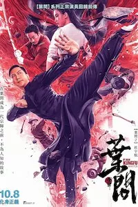 Image Ip Man: Kung Fu Master