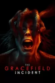 Image The Gracefield Incident