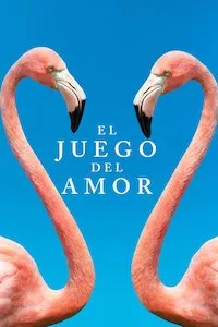 Image El juego del amor