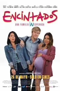 Image Encintados