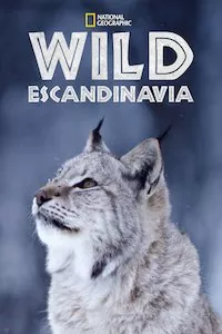 Image Escandinavia salvaje (Wild Nordic)